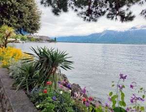 Elveţia la superlativ - oraşe exclusiviste, gheţari şi trenuri printre nori